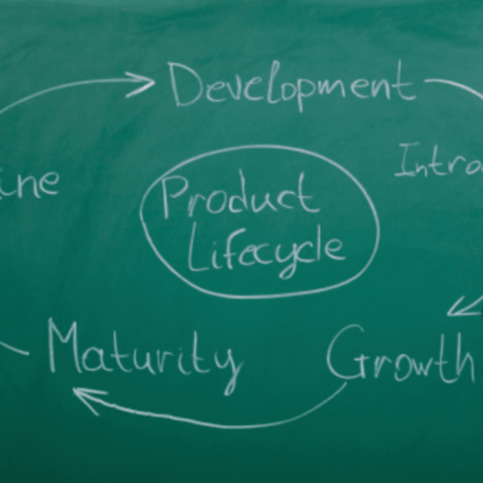 What is a Product Life Cycle? Its Stages and Examples