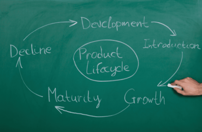 product life cycle