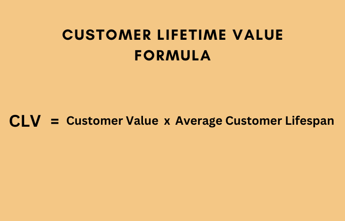 Customer Lifetime Value Formula