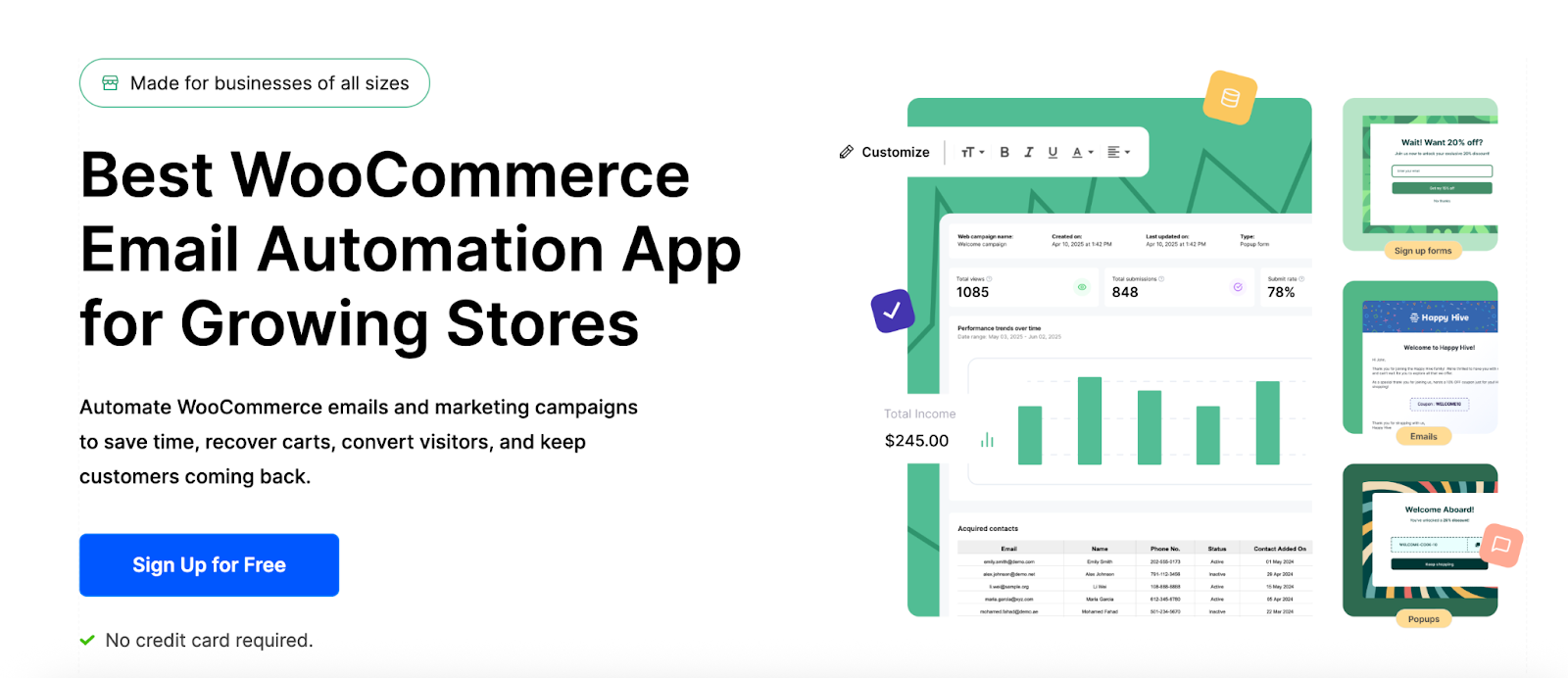 WooCommerce Email Automation App